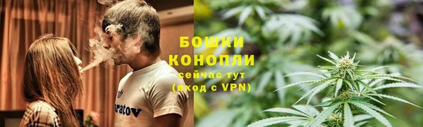 дживик Медвежьегорск