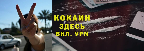 индика Медногорск