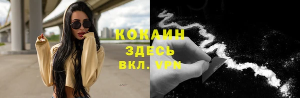 индика Медногорск