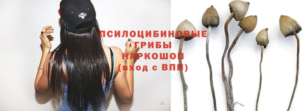 эйфоретик Мегион