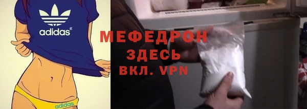 индика Медногорск