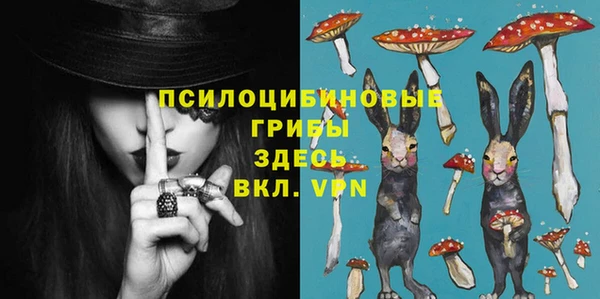 индика Медногорск